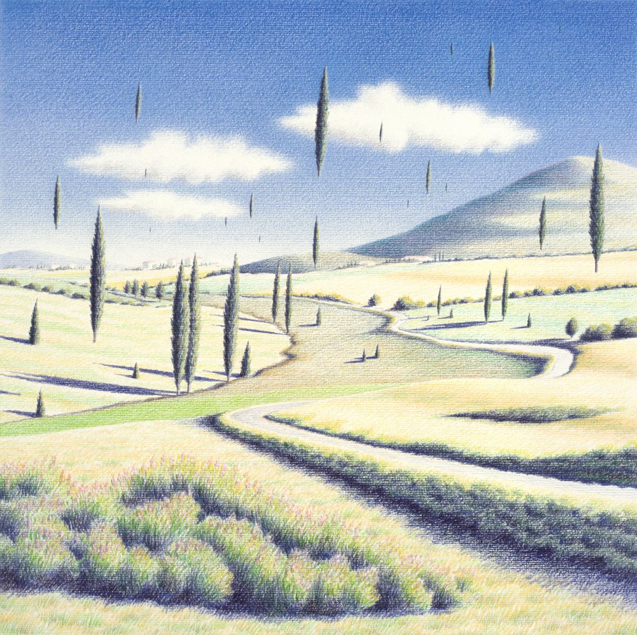 托斯卡纳树木，2005 年，纸上彩色铅笔画 作者 勒内·博安