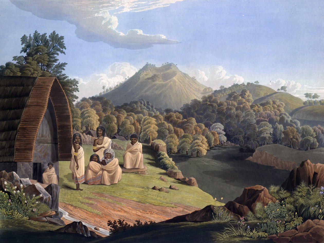 理查德·巴伦（Richard Barron）的“印度观，主要是Neelgherry Hills”中的5号板块 作者 理查德·巴伦
