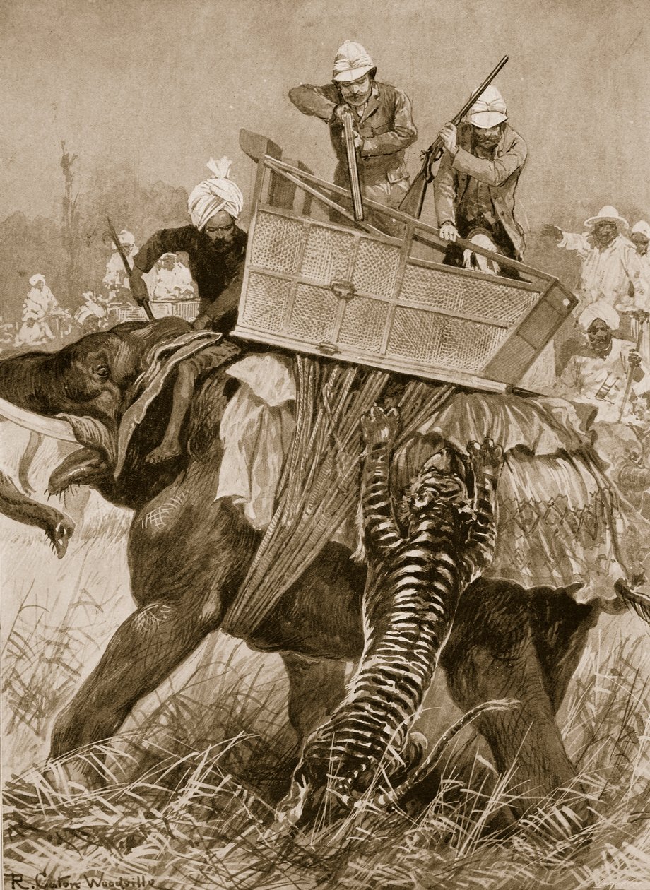 1876年威尔士亲王访问印度：2月21日，尼泊尔特莱的一只老虎的王子大象，来自“伦敦新闻画报”，1901年 作者 理查德·卡顿·伍德维尔
