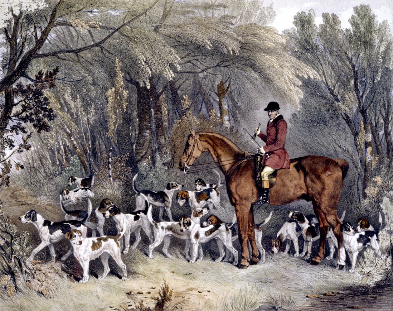 W.Head，唐宁顿猎犬的猎手，由J.W. Giles（1801-70）雕刻 1837年（彩色平印）。 作者 理查德·巴雷特（后）戴维斯