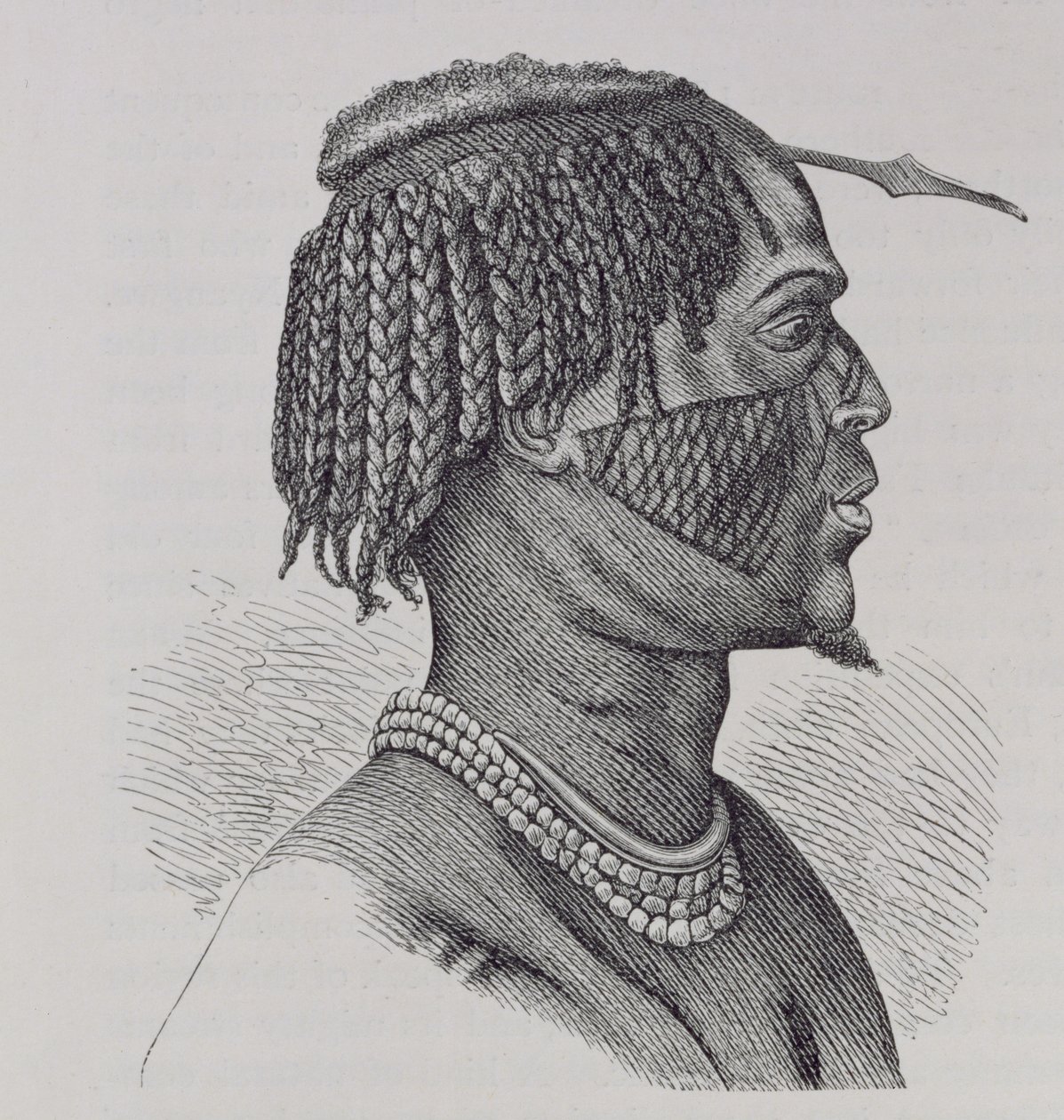 Zandeh，来自“人类历史”，第三卷，由Friedrich Ratzel教授，1898年 作者 理查德·布赫塔（Richard Buchta）