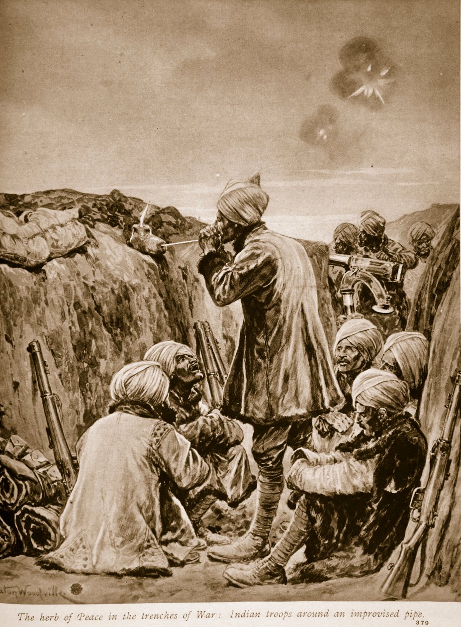 1914年至1919年战争战争中的和平草药 作者 理查德·卡顿·伍德维尔