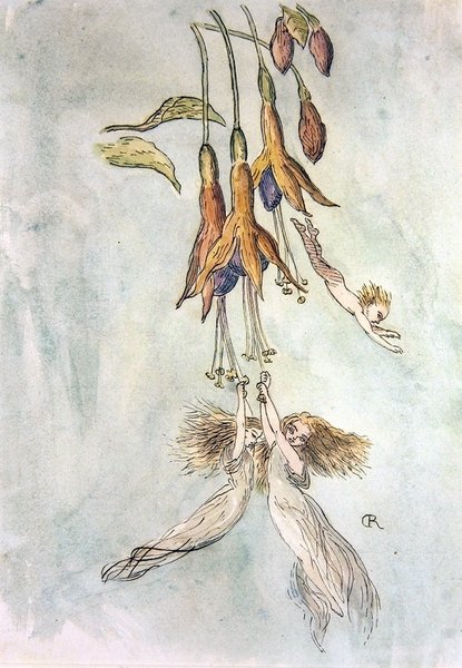 芙蓉花中的盛宴（纸上水彩画） 作者 理查德·道尔