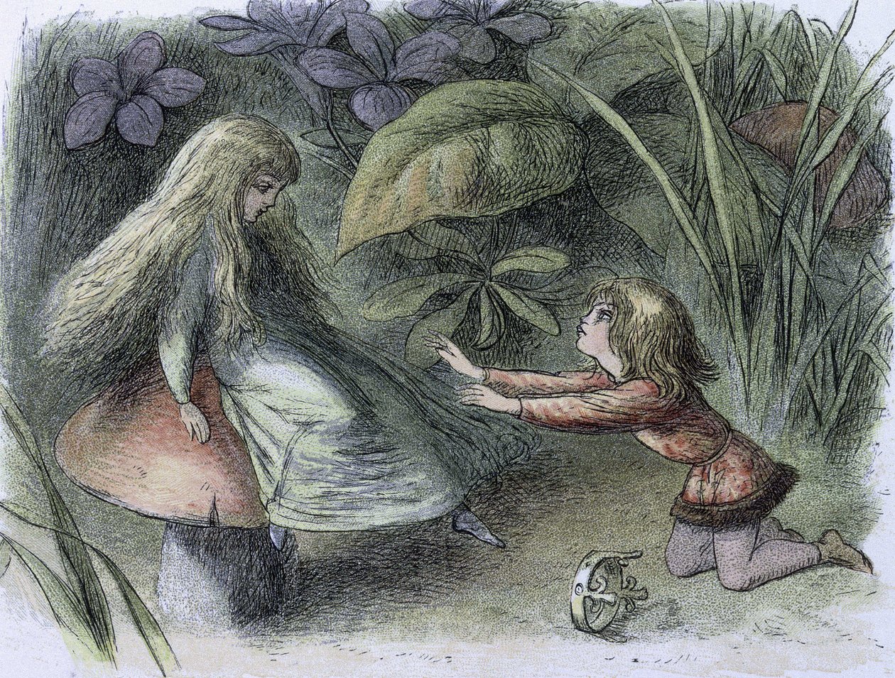 这一时期的睡莲和水仙"，约 1869 年至 1870 年（石版画） 作者 理查德·道尔