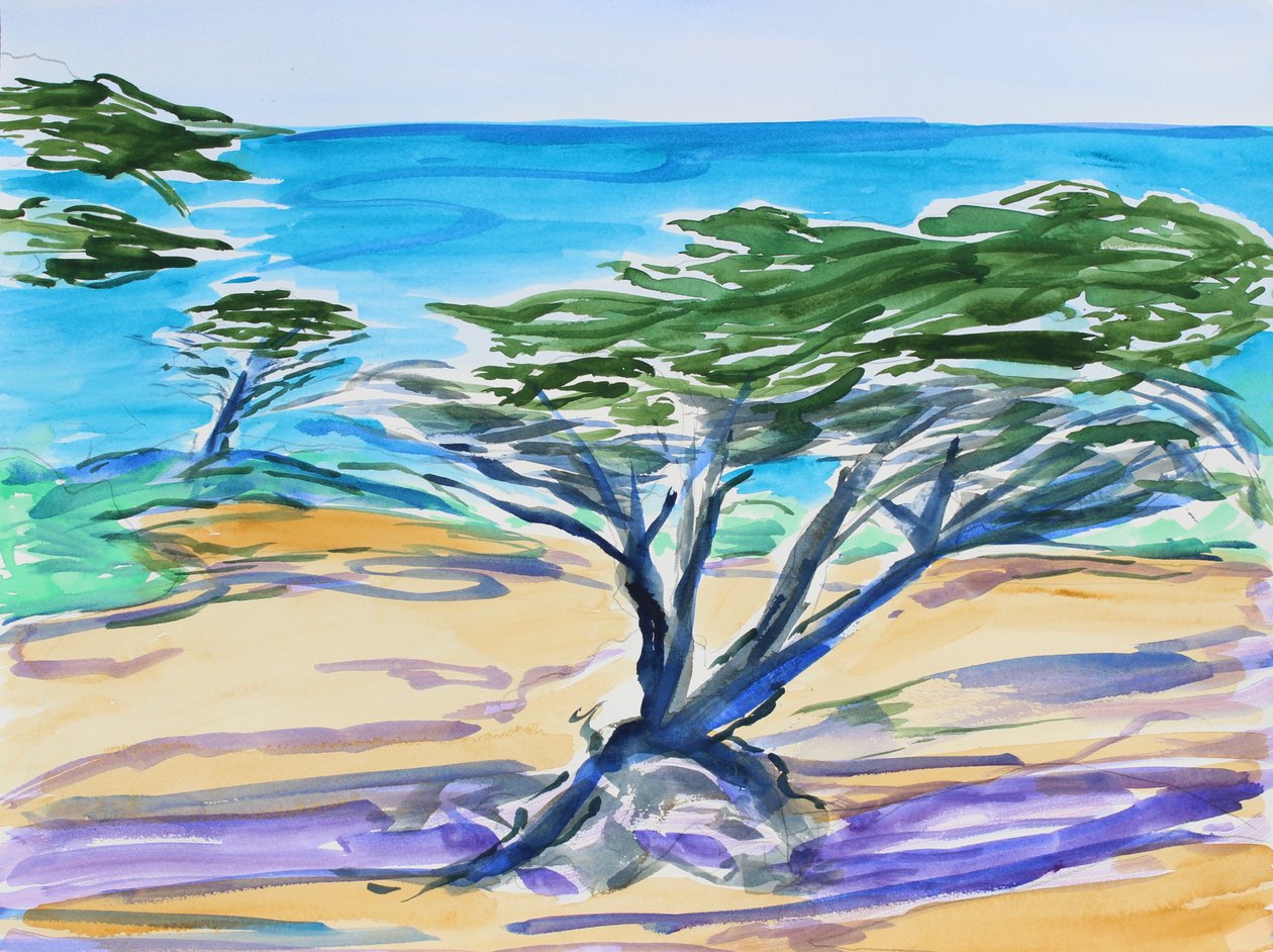 Cypress Tree, Carmel Bay, 2019 作者 理查德·福克斯