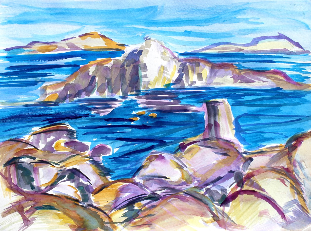 Rocks and Reflections, 2019 作者 理查德·福克斯