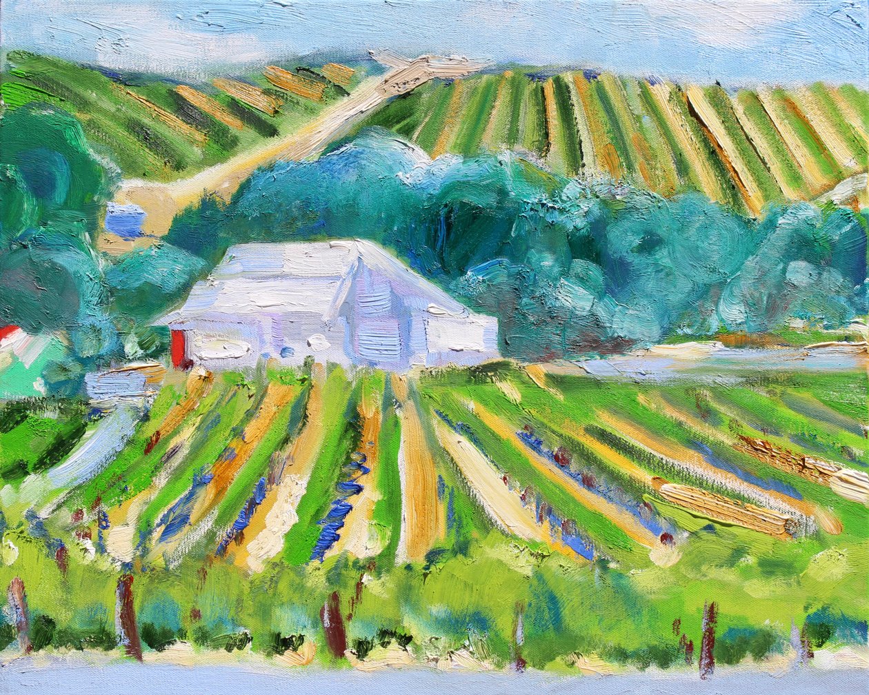 White Barn and Vineyard, Napa, 2019 作者 理查德·福克斯