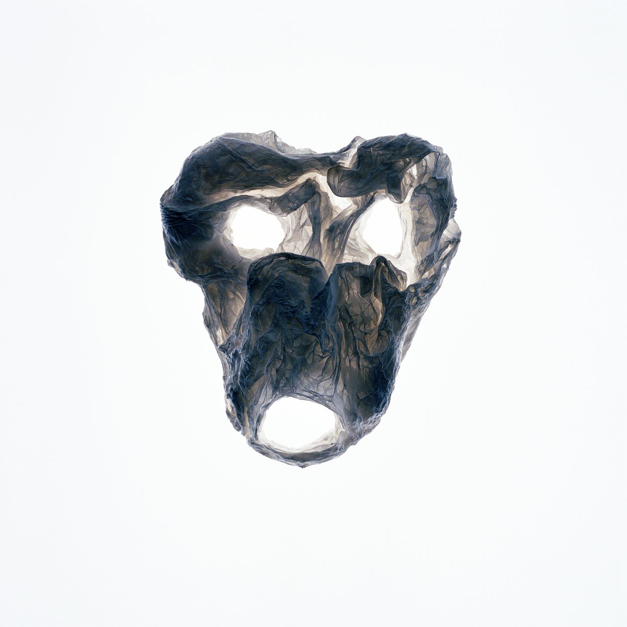 食尸鬼，2015 年 作者 理查德·格林