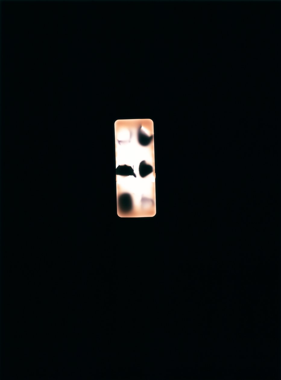 无题》，2004 年（独一无二的 c-type 照片） 作者 理查德·格林