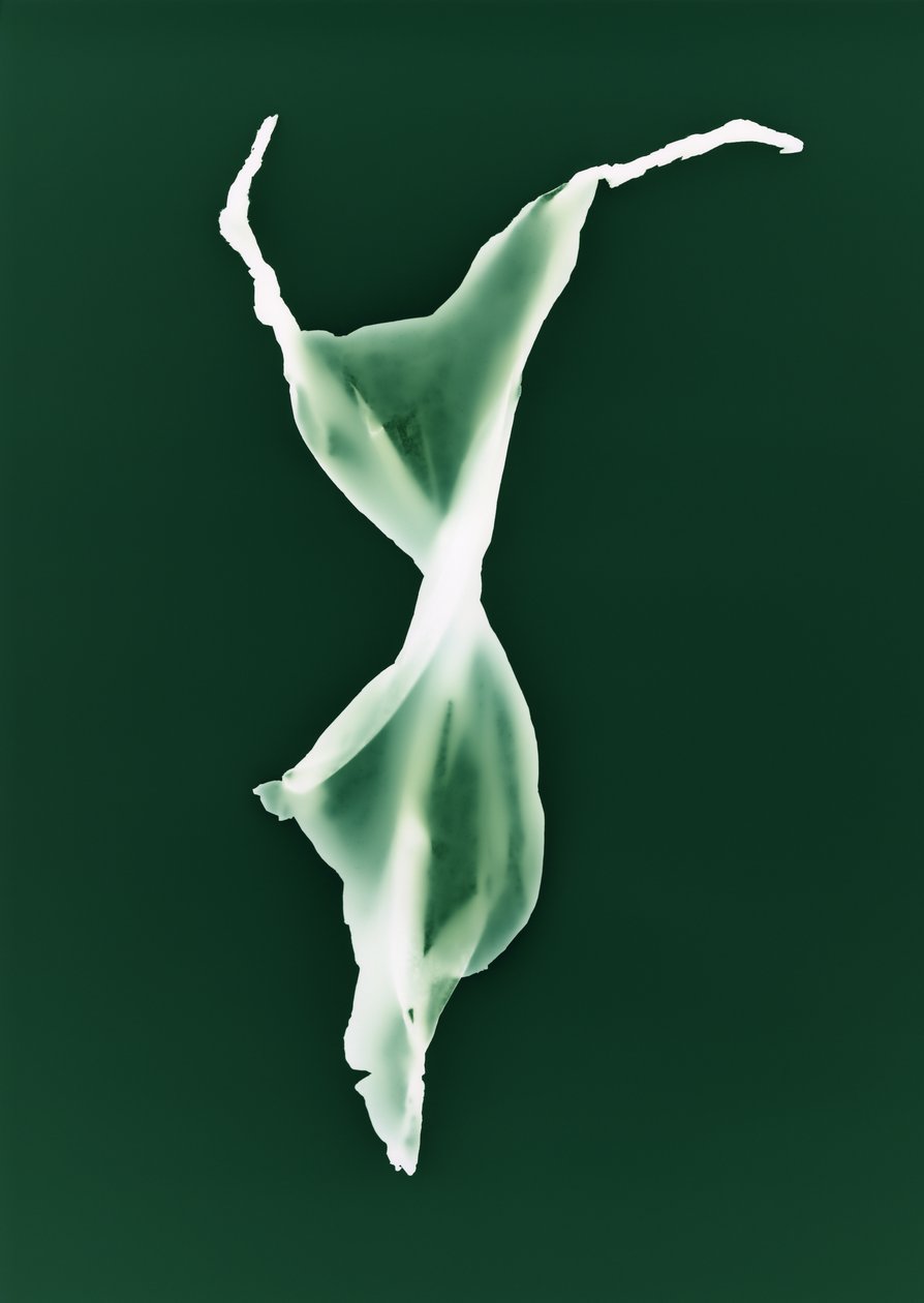 无题》，2004 年 作者 理查德·格林