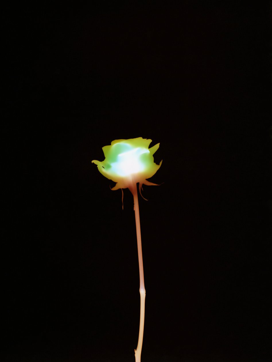 无题，2007 作者 理查德·格林