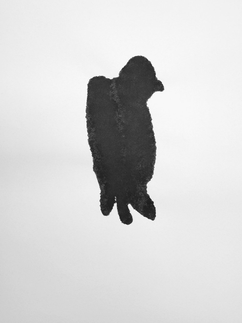 无题》，2009 年（单版画） 作者 理查德·格林