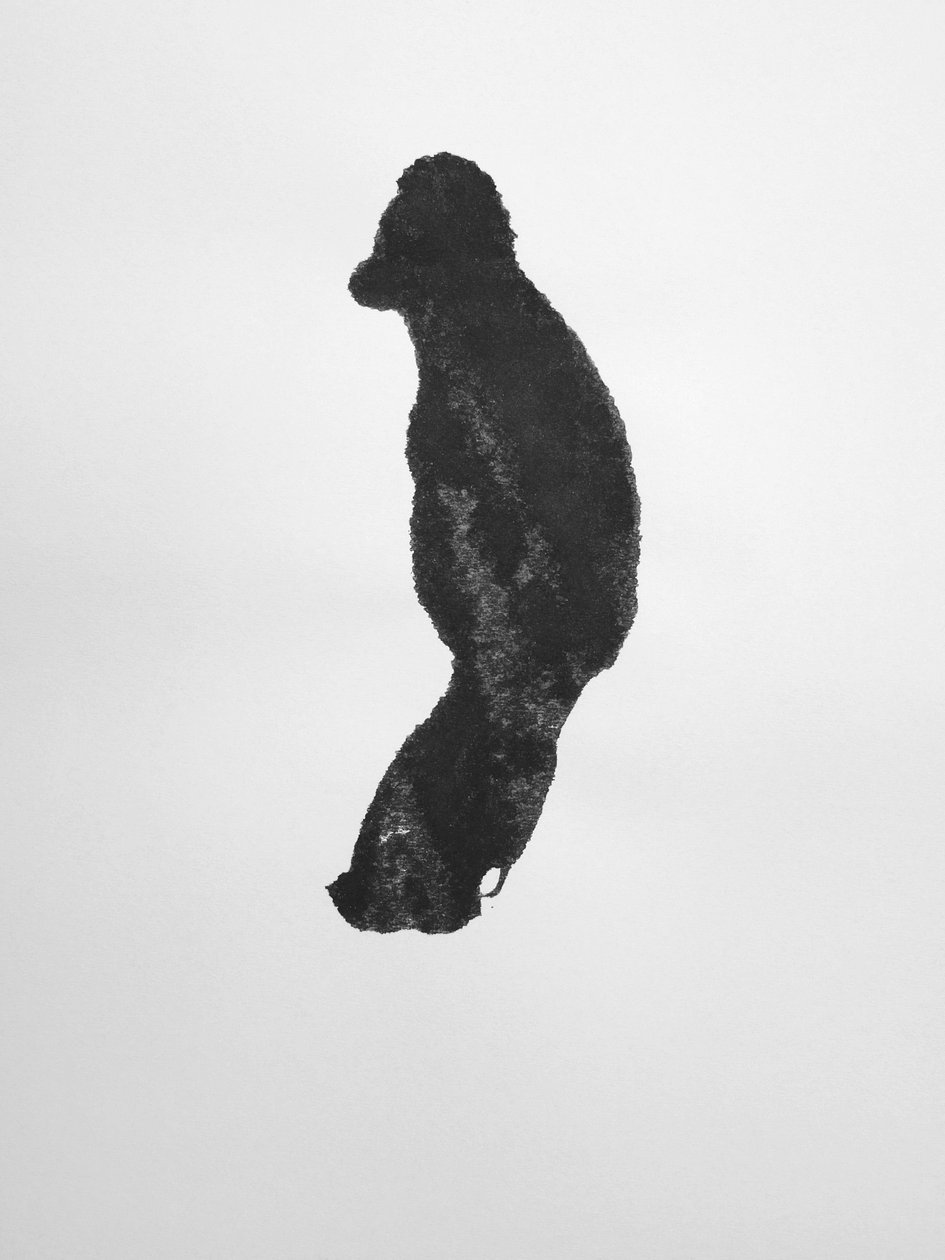 无题》，2009 年（单版画） 作者 理查德·格林