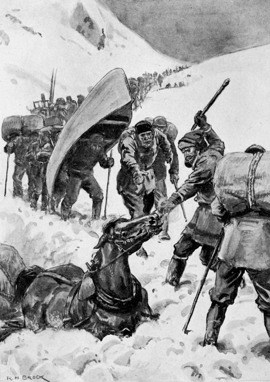  作者 理查德·亨利（继）布洛克