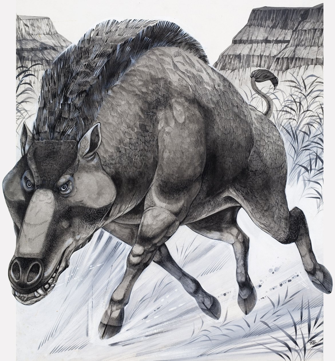 大东（纸上水粉画） 作者 理查德·胡克