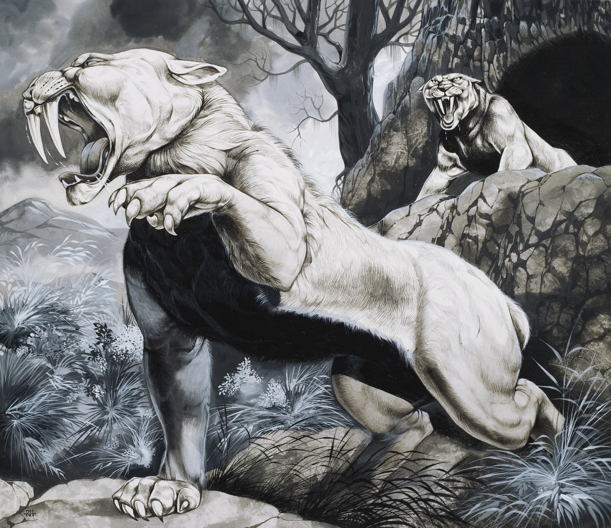 剑齿虎（纸上水粉画） 作者 理查德·胡克