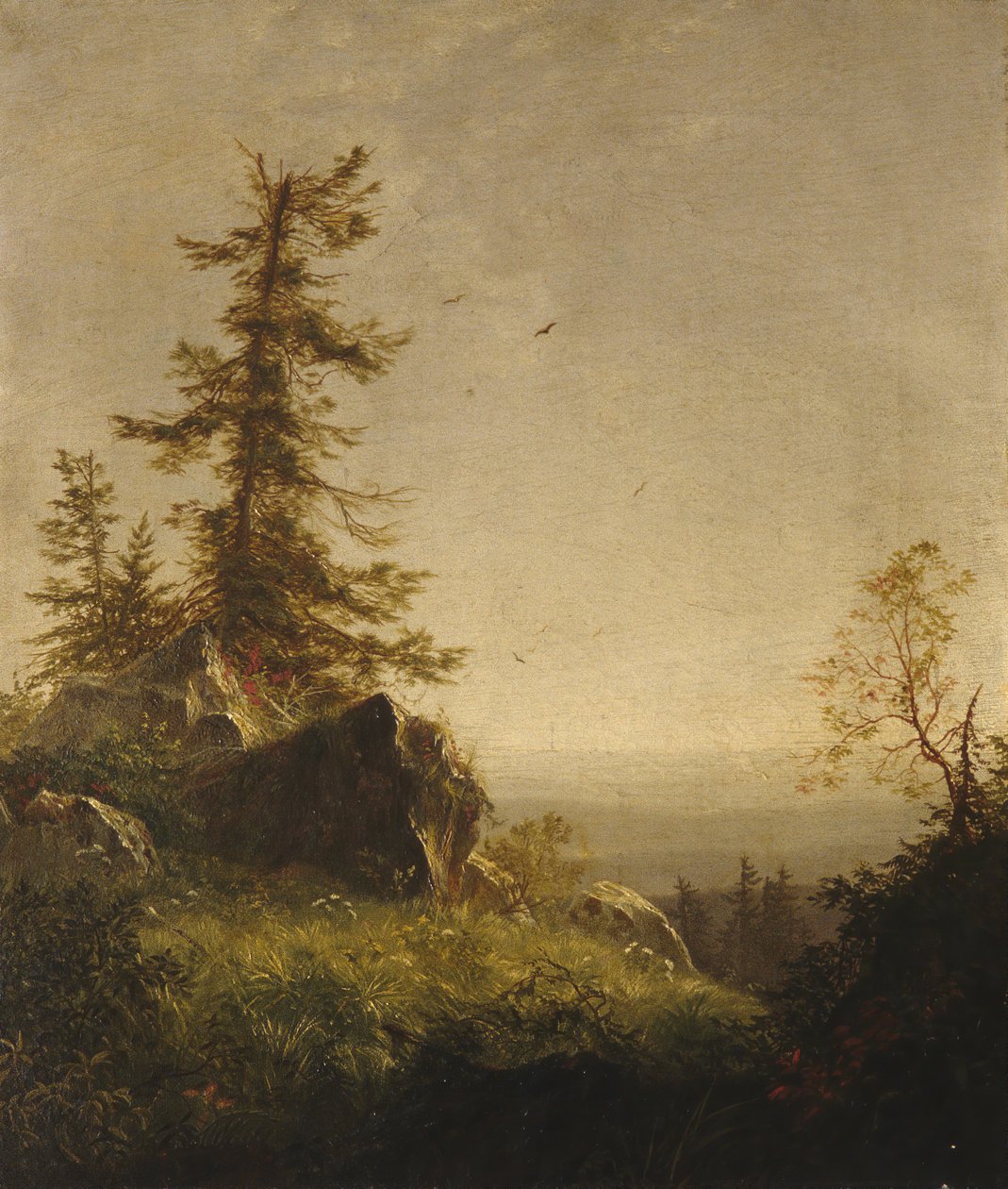 山上的早晨，1856年。 作者 理查德·威廉·哈伯德