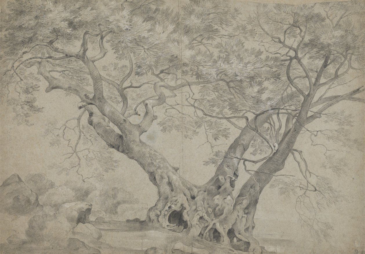 内米湖畔的 Arbra Sacra，c.1754-56（纸上黑白粉笔） 作者 理查德·威尔逊