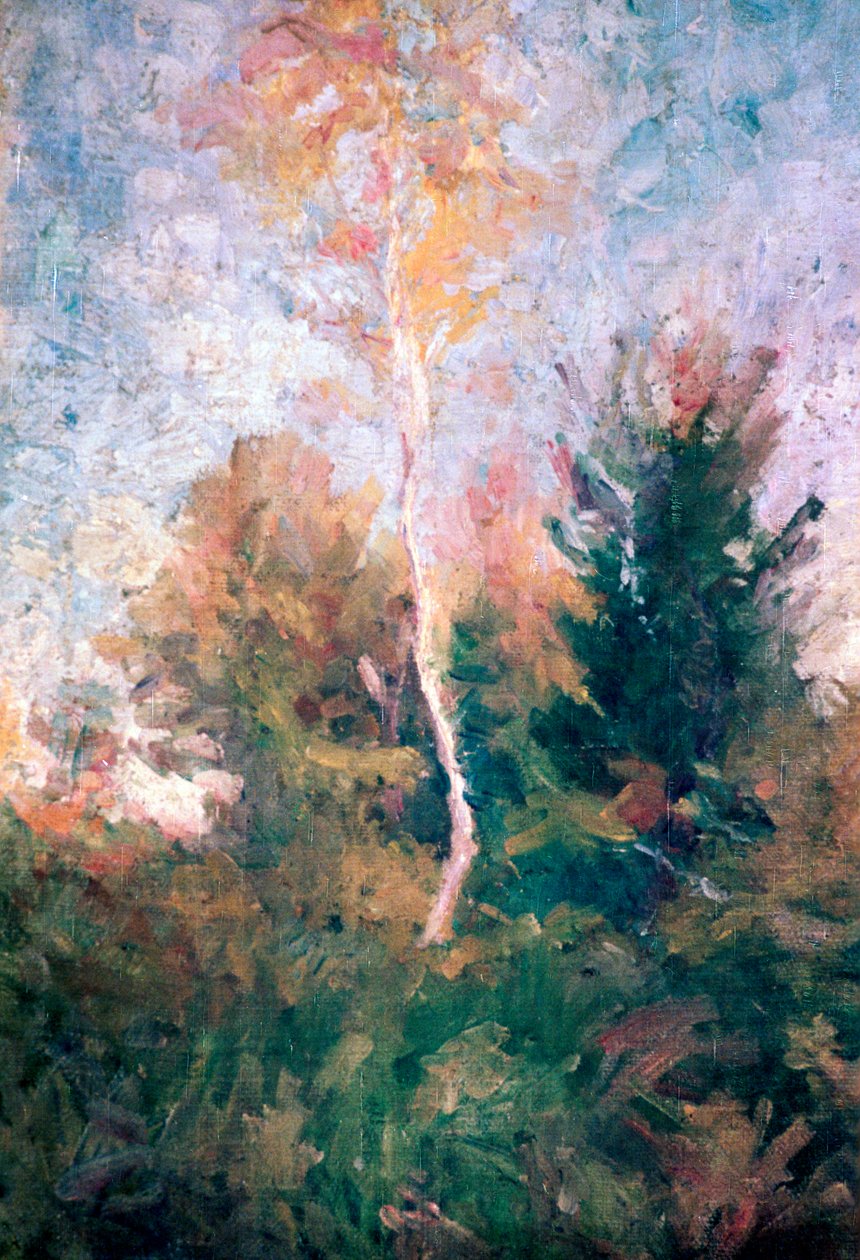 桦树》，约1889-1943年 作者 理查德·雅科皮克