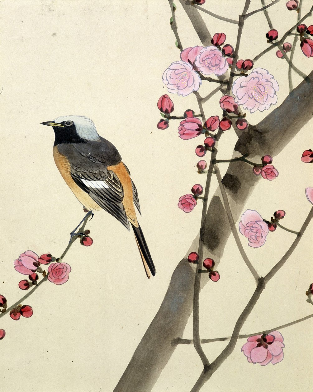 鸟 - 日本画家 Riou Chim 的作品，19 世纪末 作者 刘钦