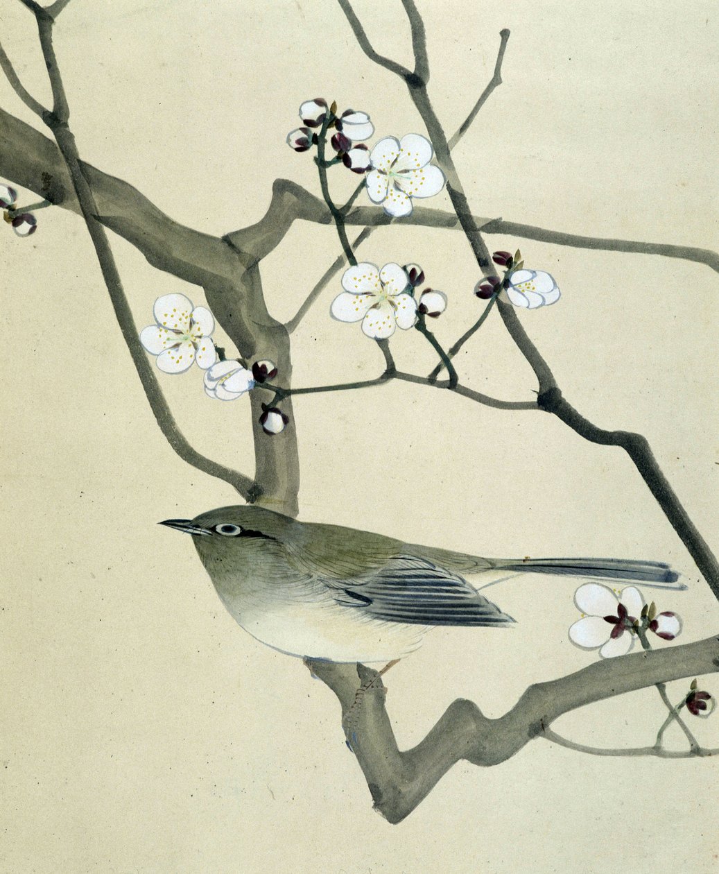 鸟 - 日本画家 Riou Chim 的作品，19 世纪末 作者 刘钦