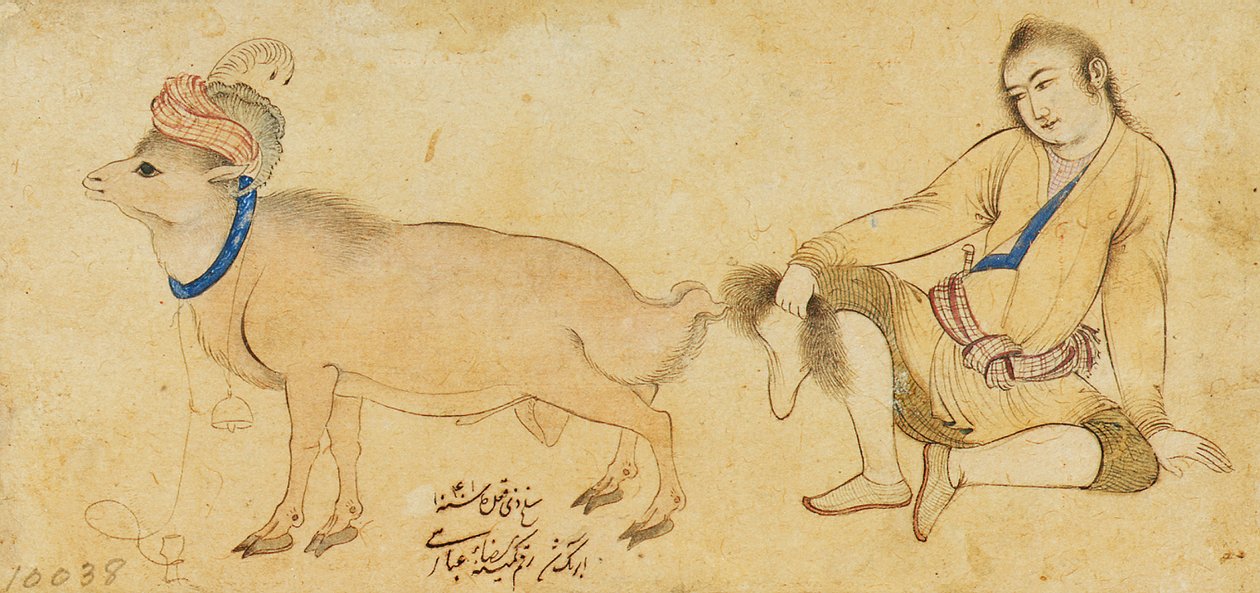 研究1630-31或以后的年轻人和公羊 作者 里扎·阿巴西