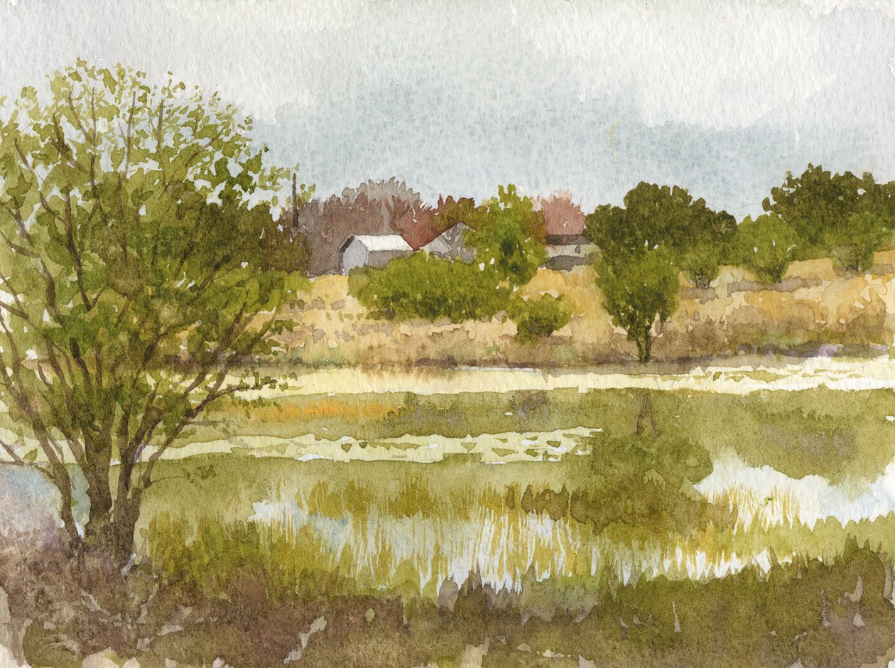 克鲁姆利的池塘，2014 年（纸上水彩画） 作者 