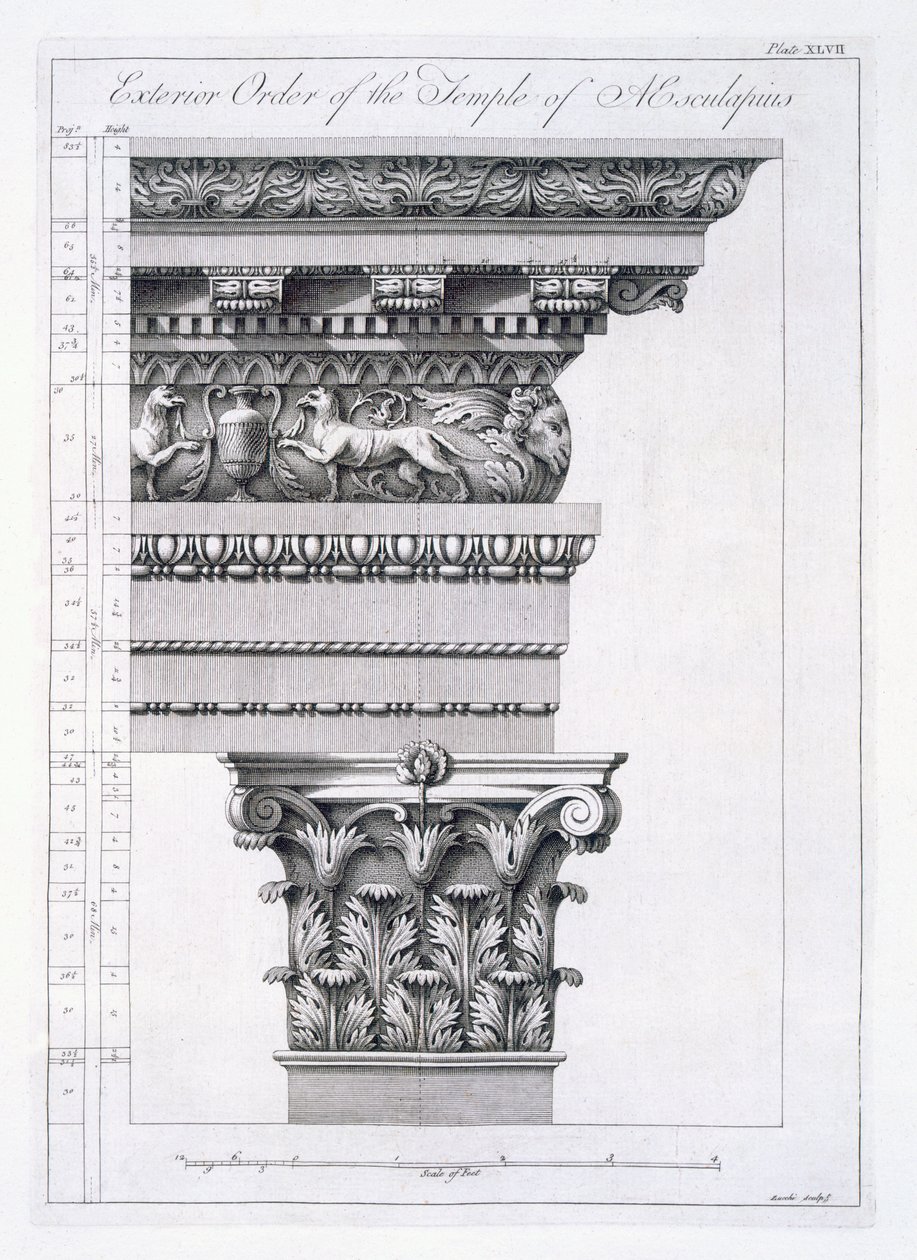 Aesculapius寺庙的外部顺序，板材XLVII从&39;达尔马提亚Spalatro的戴克里先皇宫的废墟&39;，1764年出版 作者 罗伯特·亚当