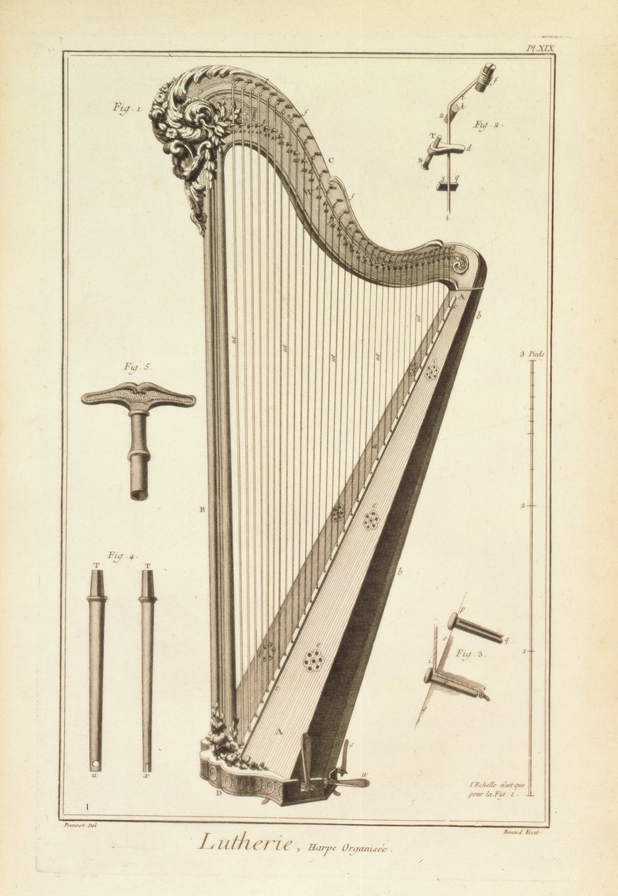 板块XIX：来自Denis Diderot百科全书（1713-84）和Jean le Rond d&39;Alembert（1717-83）的竖琴，1751-72 作者 罗伯特·贝纳德