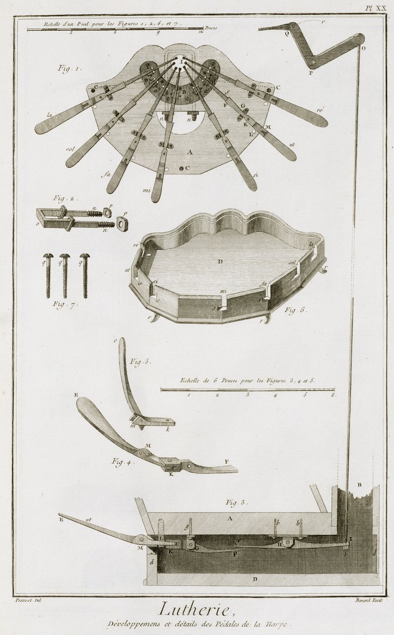 板块XX：竖琴中的踏板的传播和运作，来自Denis Diderot百科全书（1713-84）和Jean le Rond d&39;Alembert（1717-83），1751-72 作者 罗伯特·贝纳德