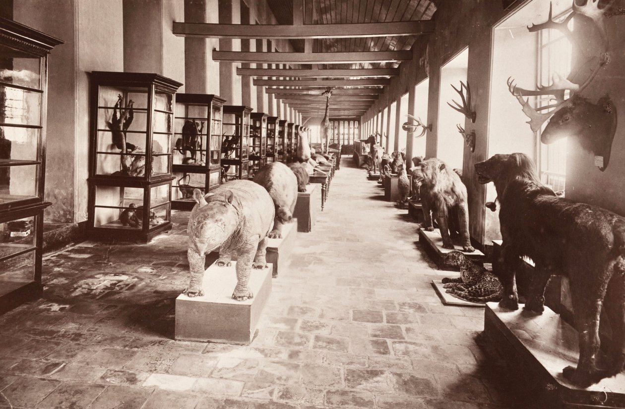 曼谷国家博物馆，1890年 作者 罗伯特·伦茨