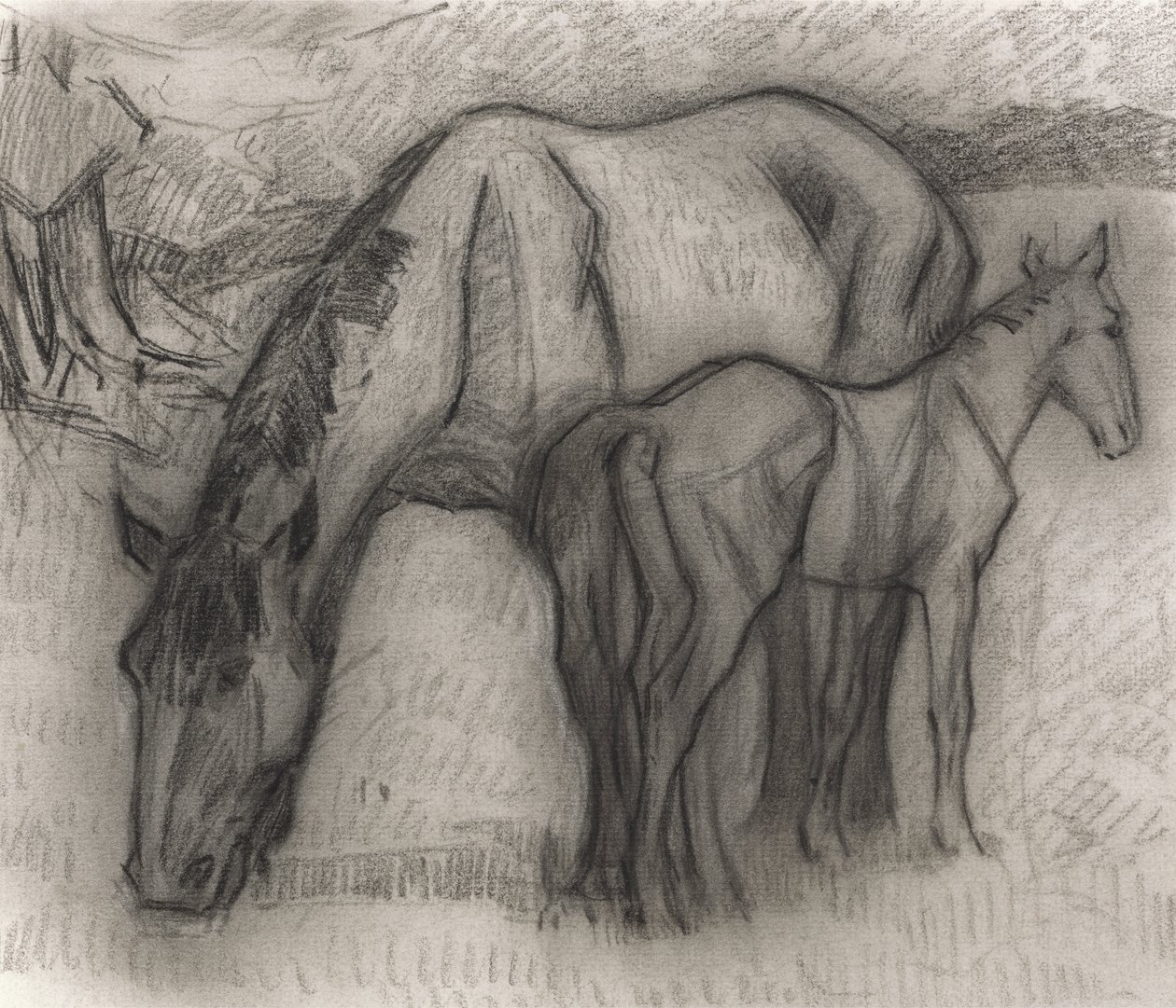 研究母马和小马驹，Lytchetts，Clayhidon，1917年（纸上的黑色蜡笔） 作者 罗伯特·波希尔·贝文