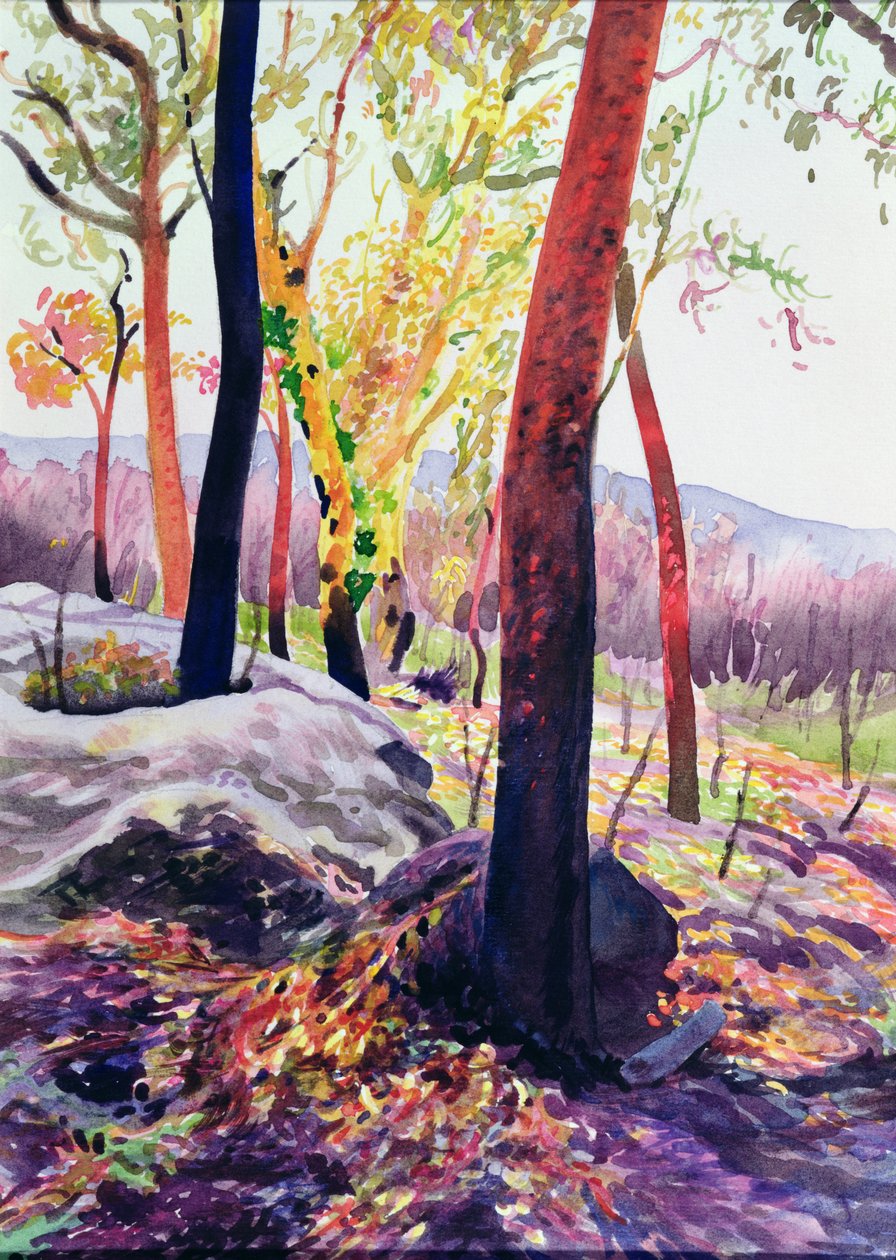 丛林火灾幸存者，悉尼，1994年（wc） 作者 罗伯特·廷德尔