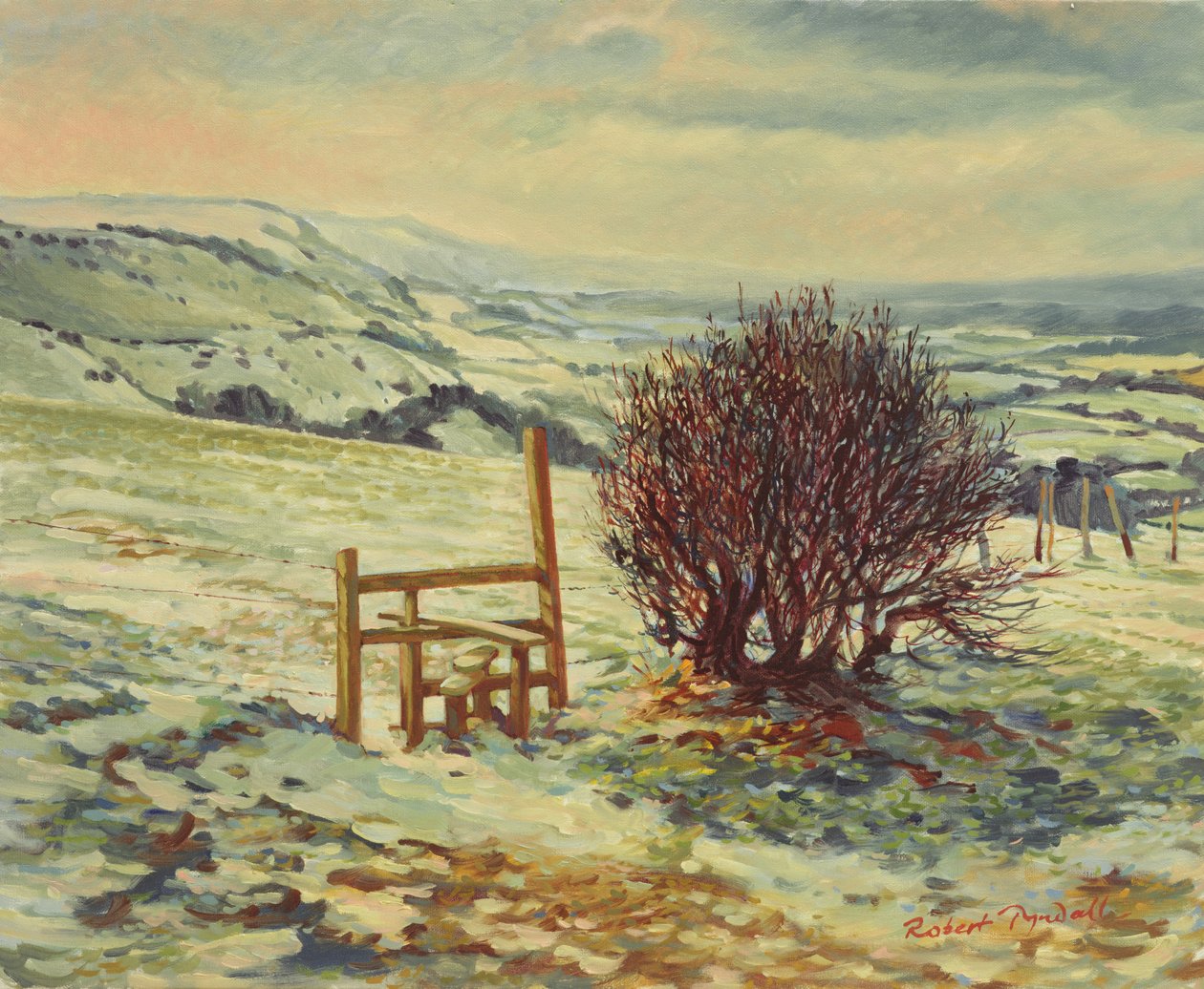 Sussex Stile，Winter，1996 作者 罗伯特·廷德尔