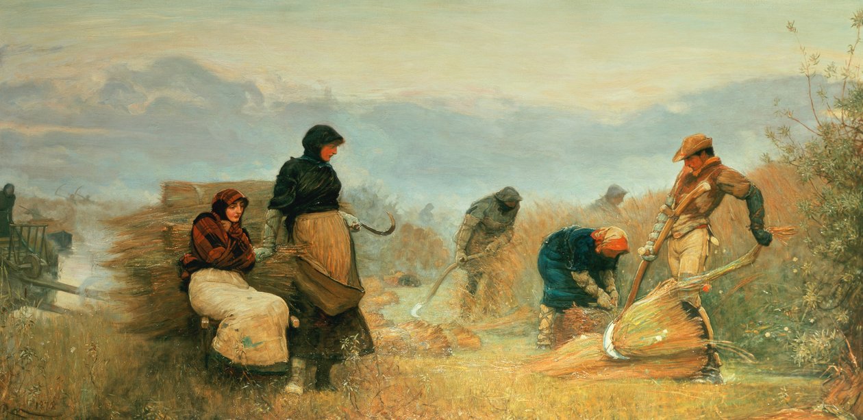 在Fens，1878年 作者 罗伯特·沃克·麦克白