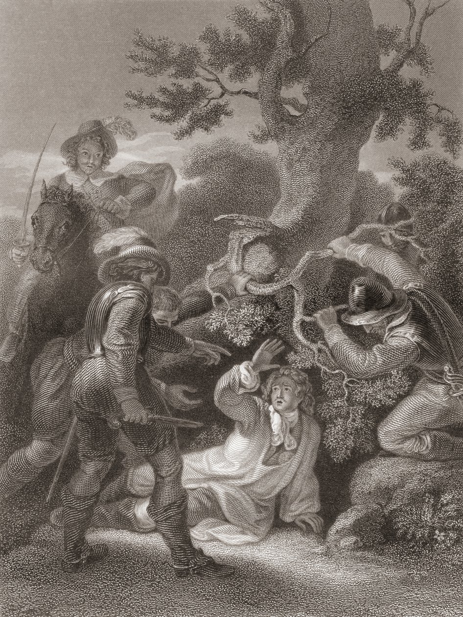 塞德摩尔战役后拍摄的蒙茅斯公爵。摘自 1859 年出版的《英格兰历史》。 作者 罗伯特（后）斯米尔克