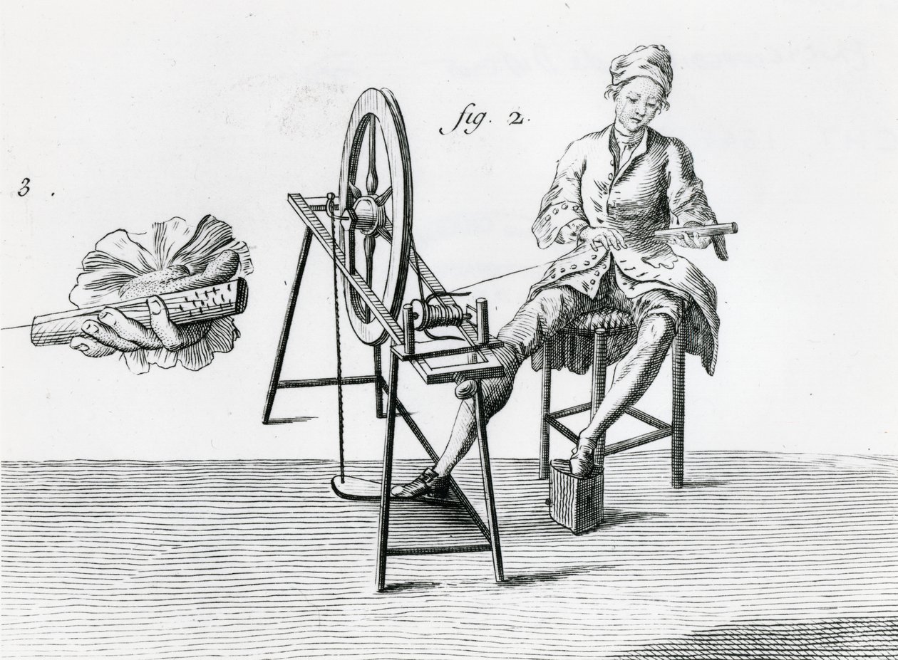 乡村经济学，棉花，来自Encyclopedia by Denis Diderot 1713-84雕刻bw照片细节164438 作者 罗伯特·贝纳德