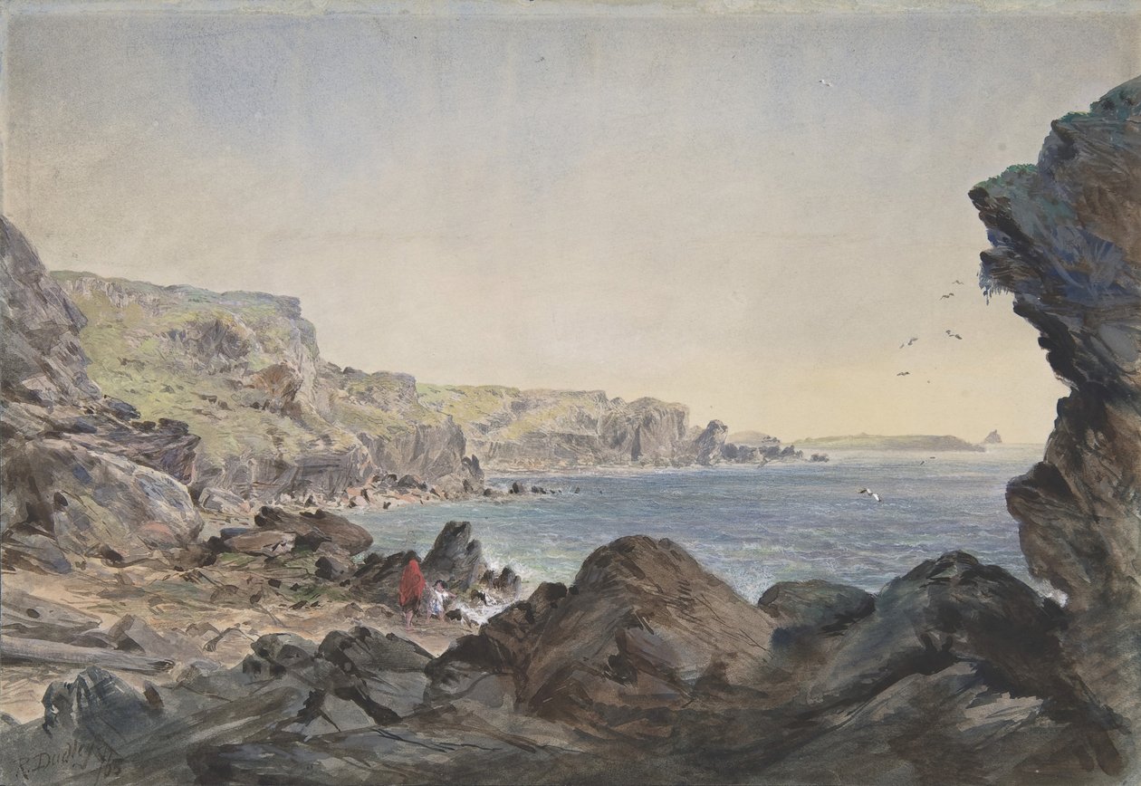 Valentia的Foilhummerum湾，从电缆所在的点向海面看去......，1865-66。 作者 罗伯特·查尔斯·达德利