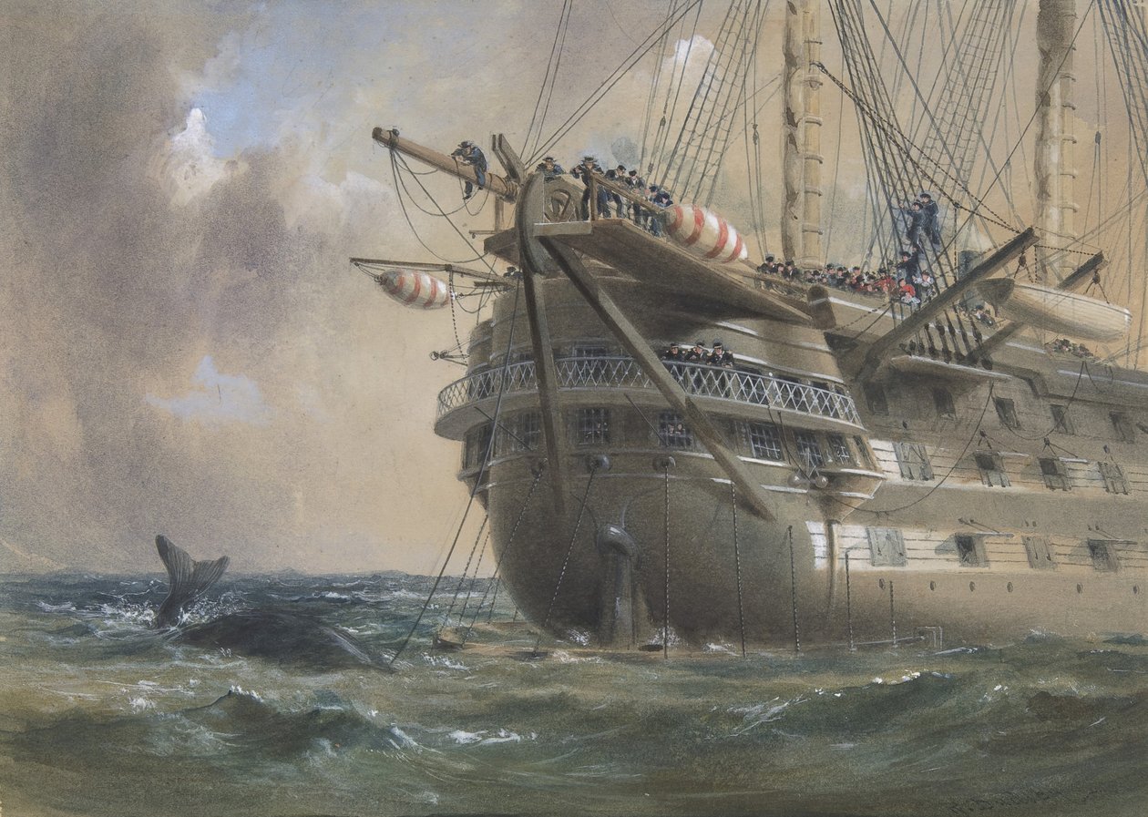 H.M.S. Agamemnon号在1858年铺设大西洋电报电缆：一条鲸鱼穿过线路，1865-66。 作者 罗伯特·查尔斯·达德利