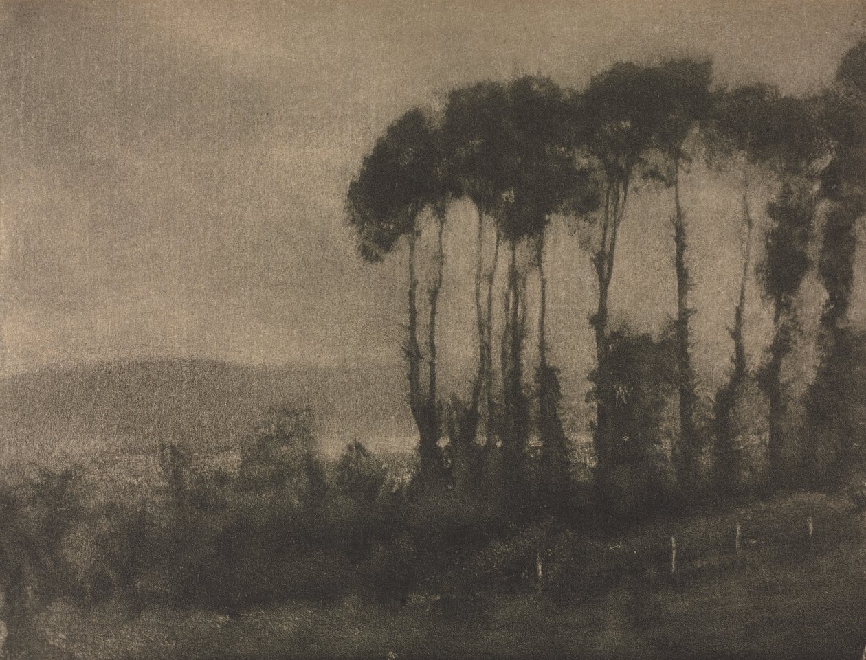 摄影作品：图克山谷（Toucques Valley），1906年。 作者 罗伯特·德马奇