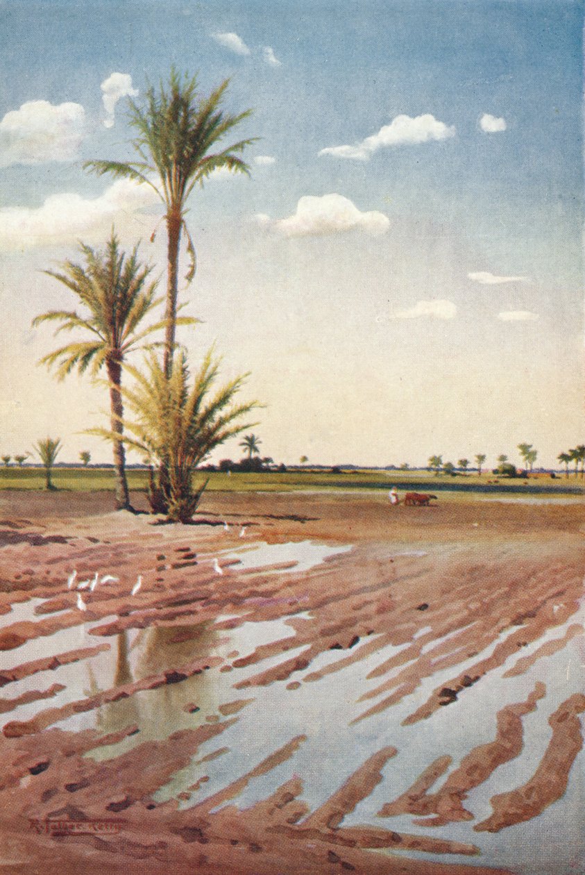 1904年，灌溉场，1904年 作者 罗伯特·乔治·塔尔伯特·凯利