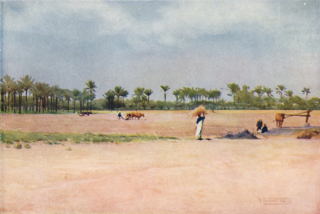 Esbet-El-Ekiad-歌珊国，c1880，1904年 作者 罗伯特·乔治·塔尔伯特·凯利