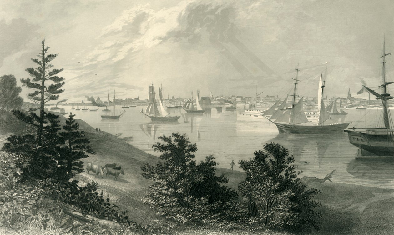 底特律市，来自加拿大海岸》，1872年。   作者 罗伯特·欣希尔伍德