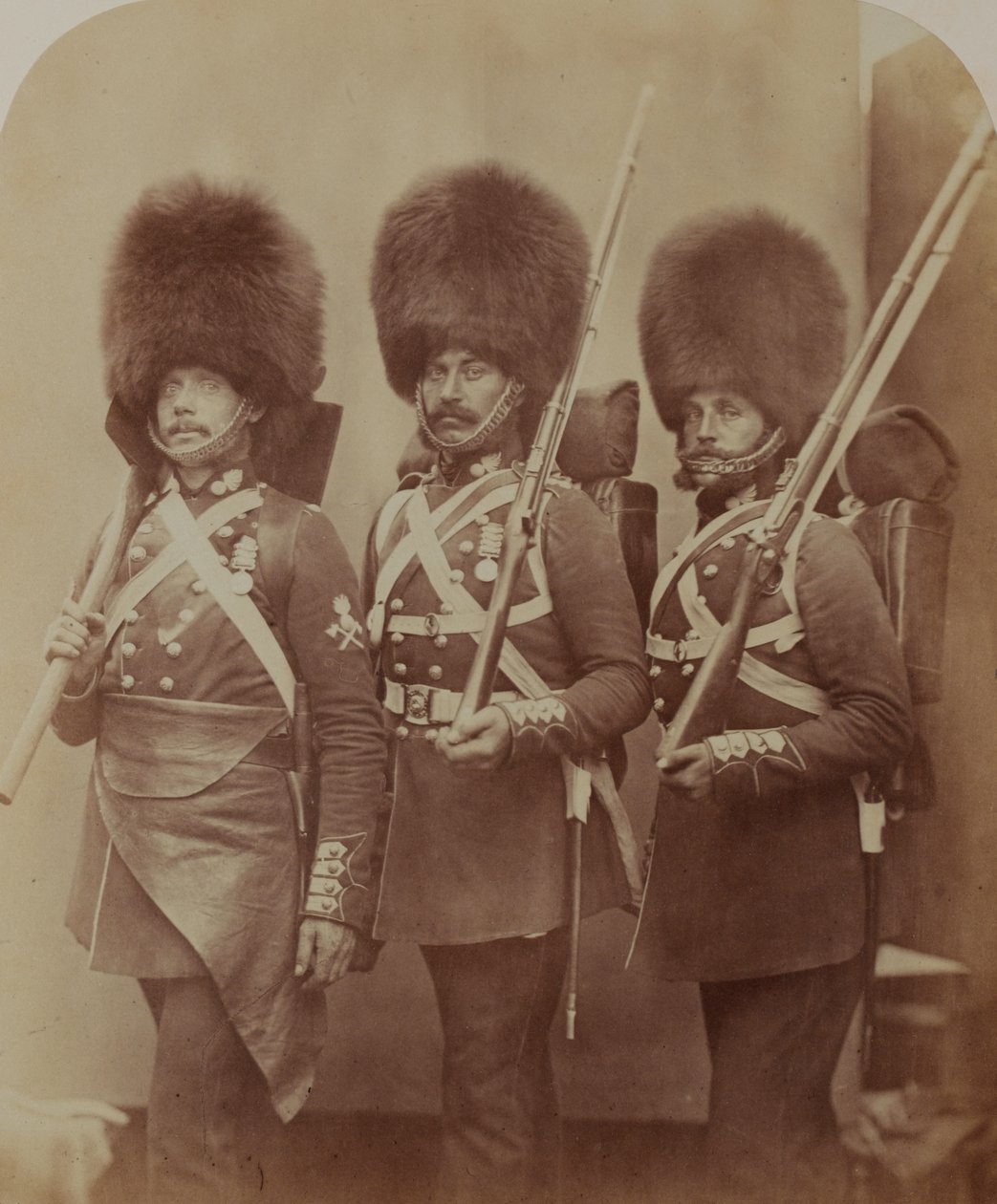 先锋礼仪和卫兵Webster和Lemmen，Grenadier Guards 作者 罗伯特·霍利特