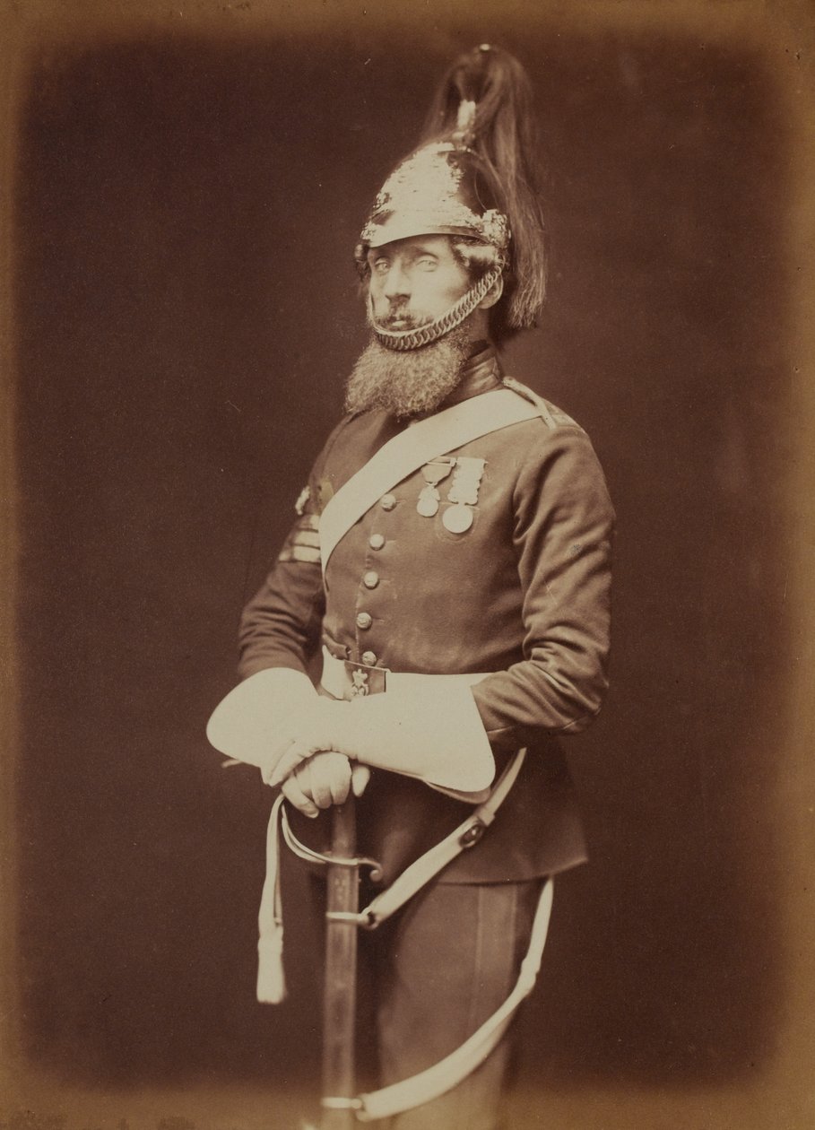 Sergeant-Major Bailey，第一位皇家龙骑兵卫队 作者 罗伯特·霍利特