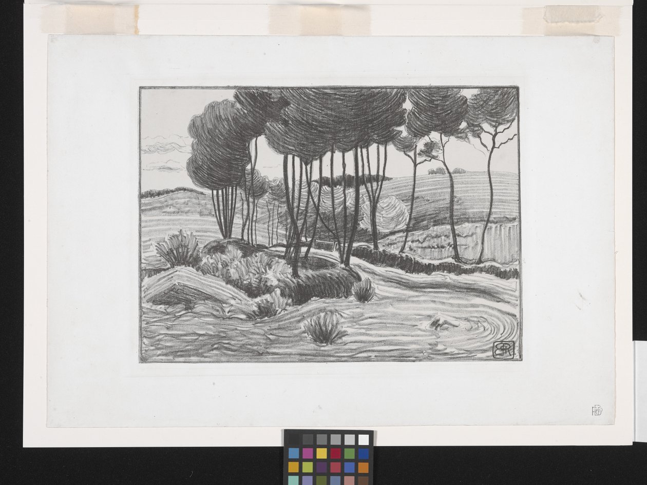 白杨树（石版画） 作者 罗伯特·波希尔·贝文