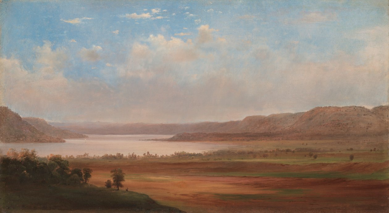 明尼苏达州佩平湖的景色，1862年。 作者 罗伯特·邓肯森