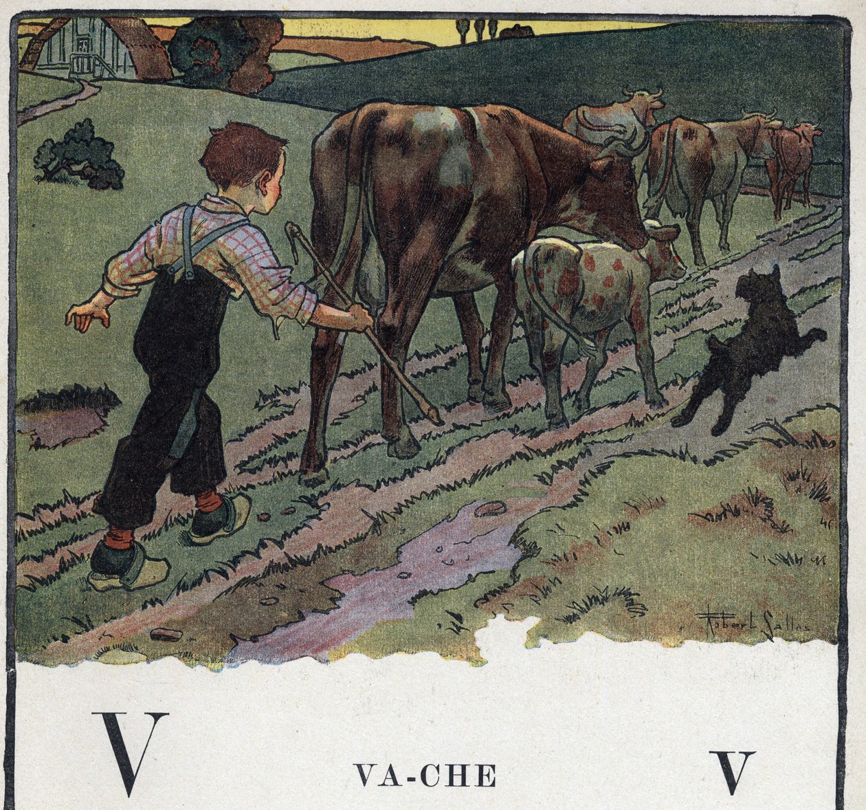儿童读物《我会读书--一个爸爸的有条不紊的有趣的字母表》1926年。插图由罗伯特-萨勒斯（1871-1929）绘制。Abecedary：字母V为牛。一个男孩帮助一只狗，把一群牛赶到田里。 作者 罗伯特·萨尔斯
