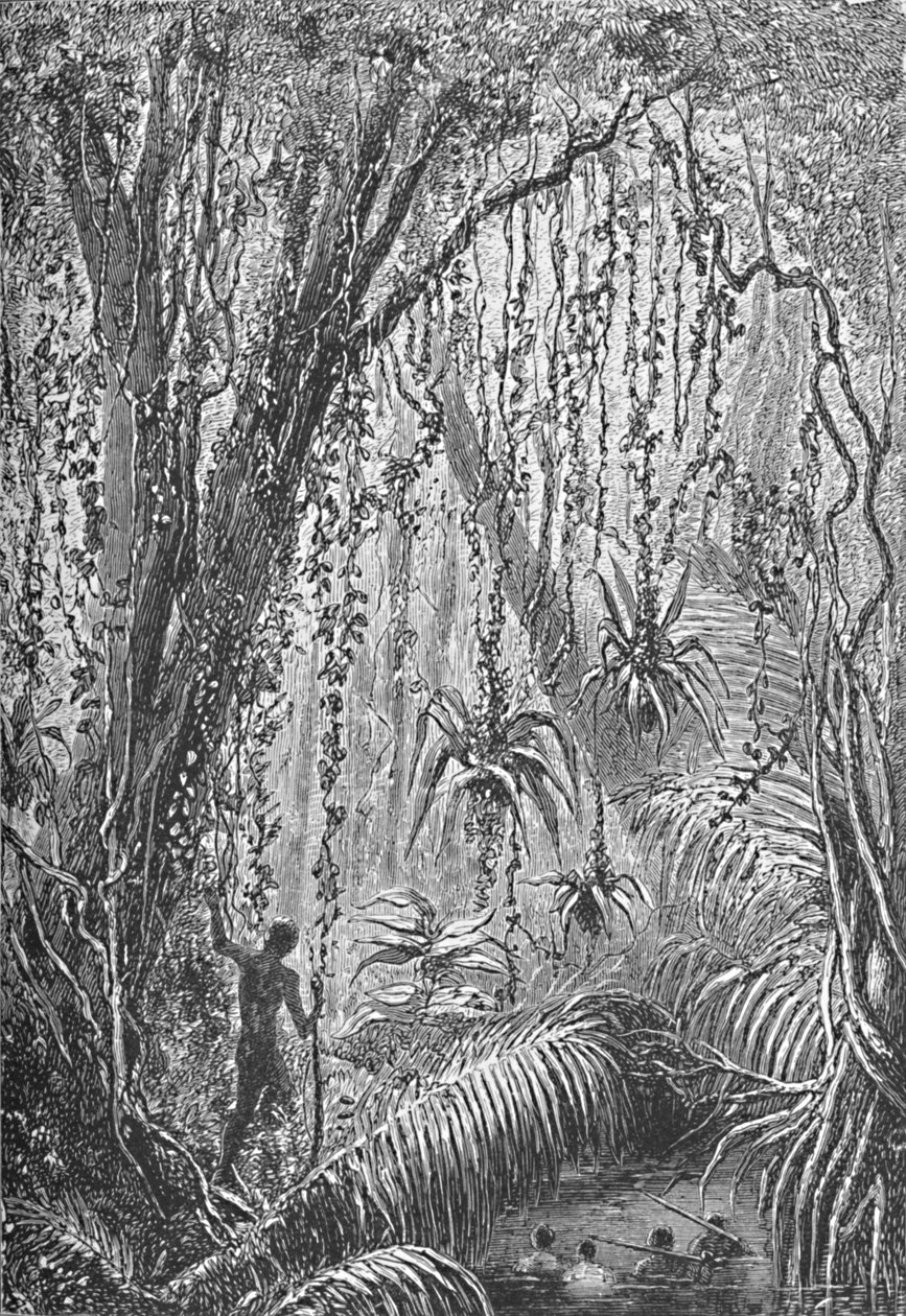 巴西森林（c1885 1890） 作者 罗伯特·泰勒·普里切特