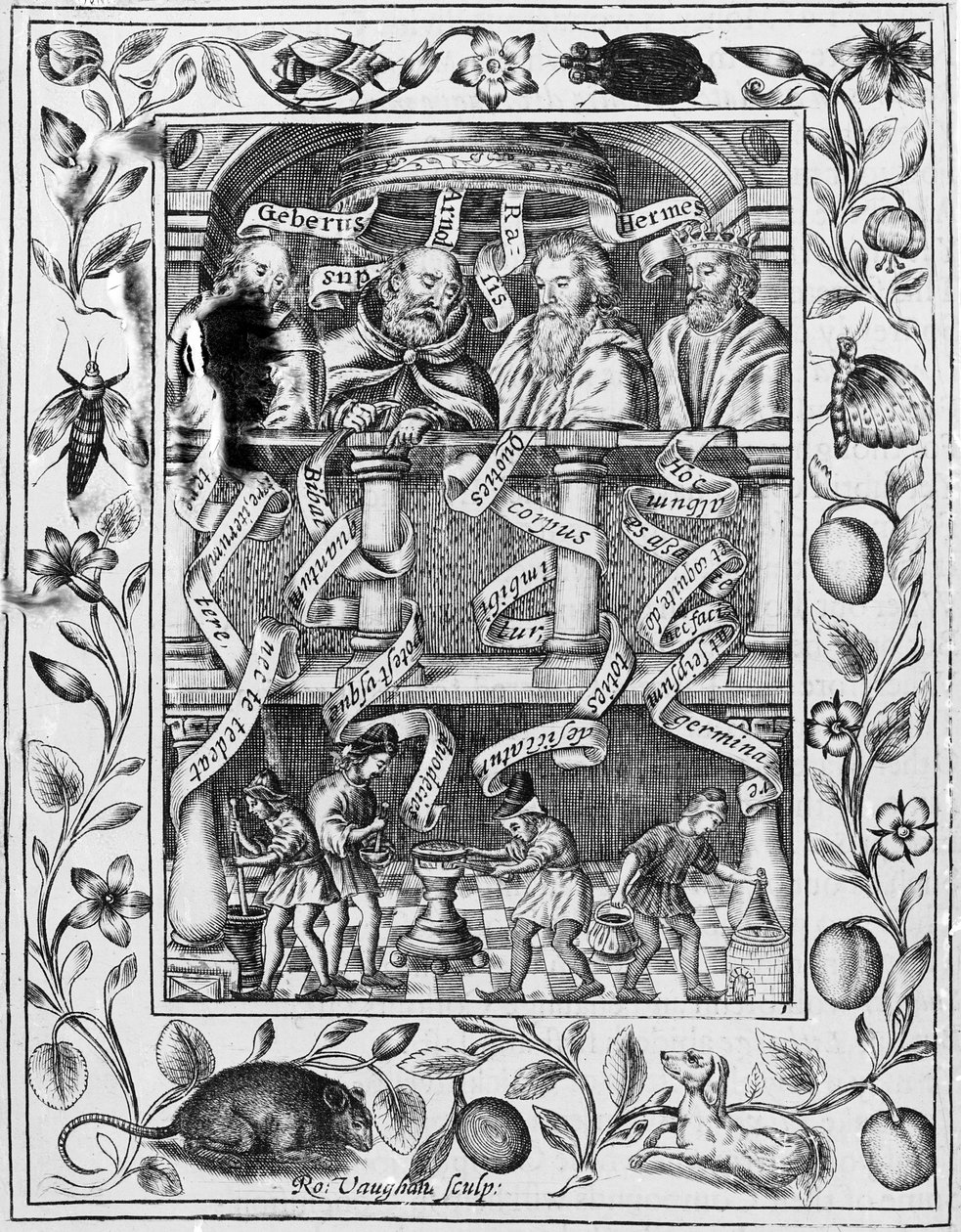 伟大的炼金术士从1652年的Theatrum Chemicum Britannicum激发了实验室的工作 作者 罗伯特·沃恩